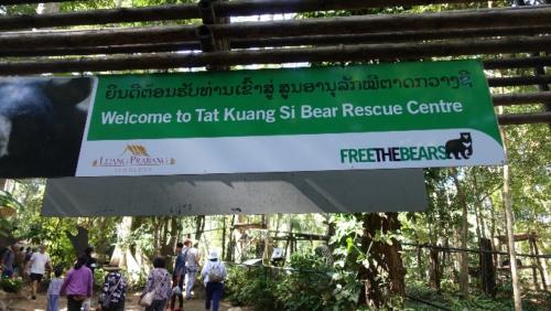 Kuang Si – Centrum Ratunkowe Niedźwiedzi