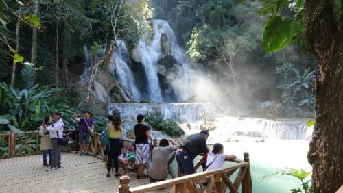Wodospad Kuang Si – najpiekniejsze miejsce w Laosie – 30 km od Luang Prabang