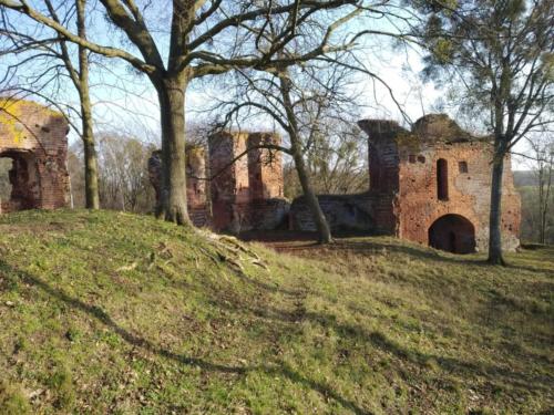 Ruiny krzyżackiego zamku w Pokrzywnie. (aut. Marcin Gorączko)