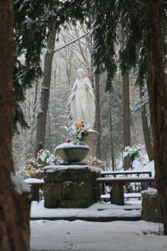 Leśne sanktuarium Matki Bożej Łaskawej – Królowej Krynickich Źródeł 