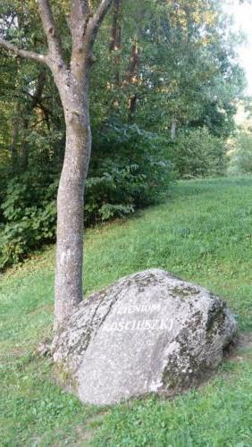 Zalesie  - „Cieniom Kościuszki” – pierwszy pomnik na świecie poświęcony Tadeuszowi Kościuszce w parku 